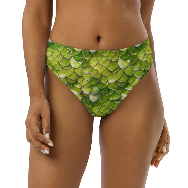 High Waist Bikini Bottom in Green - Front View